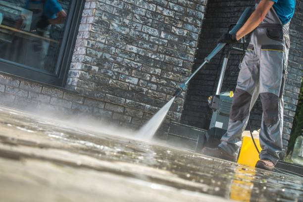 Best Soft Washing  in New Whiteland, IN